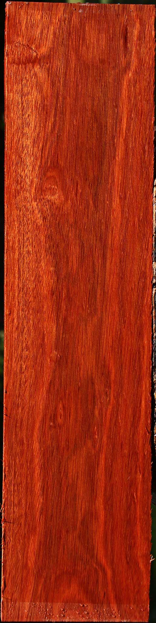 Bloodwood Lumber