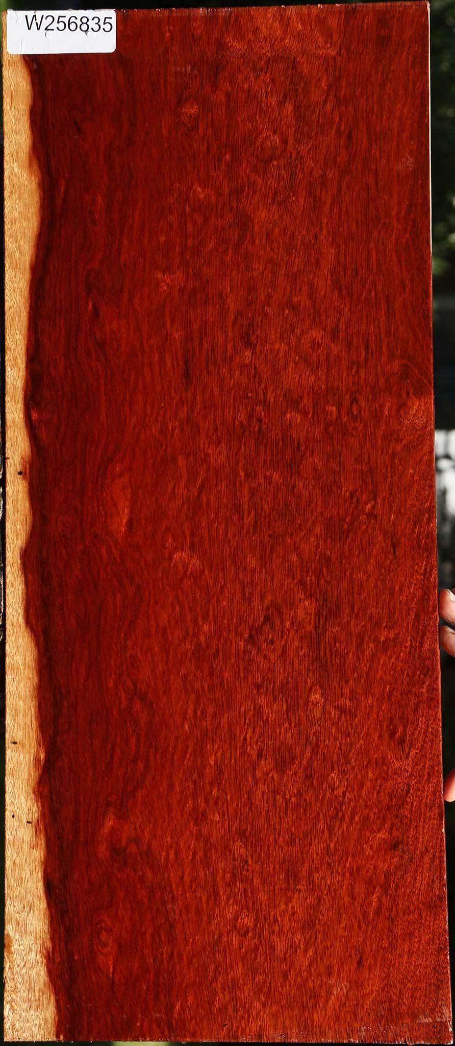 Extra Fancy Bloodwood Lumber