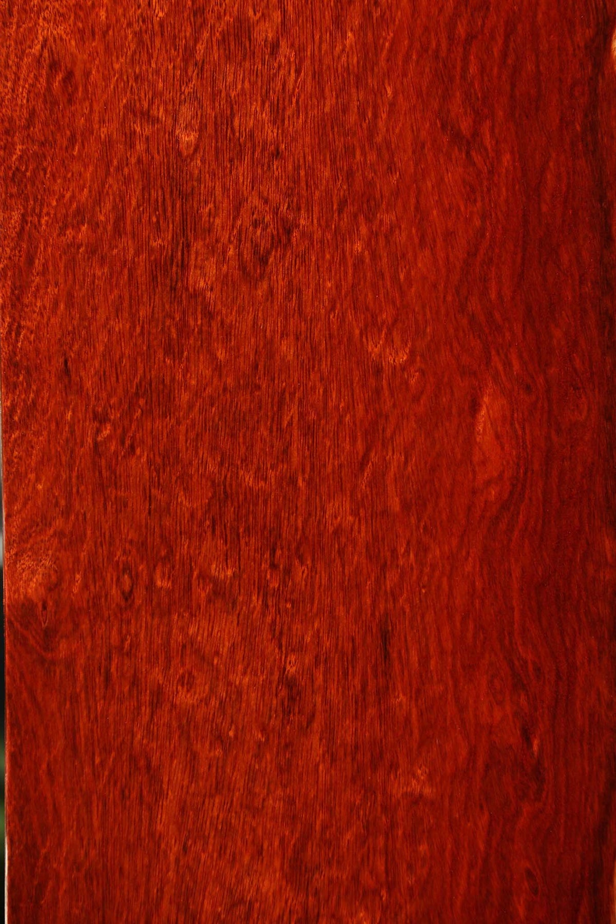 Extra Fancy Bloodwood Lumber