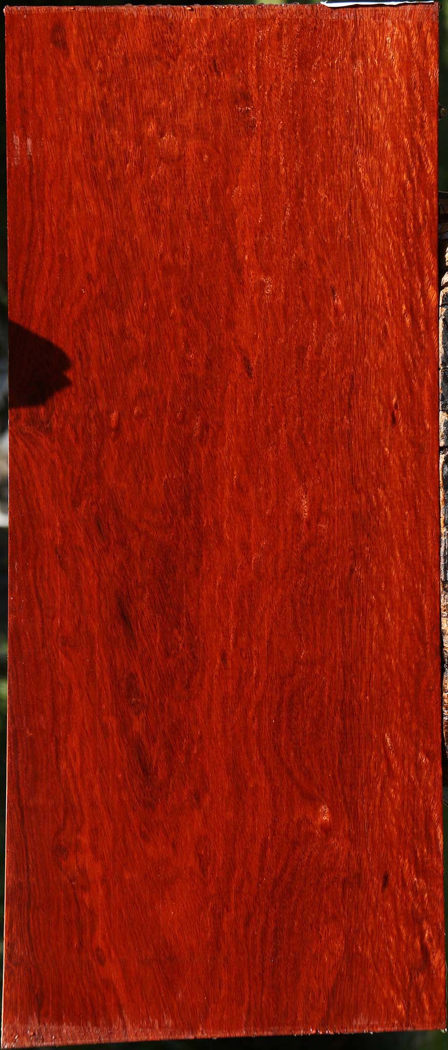 Extra Fancy Bloodwood Lumber