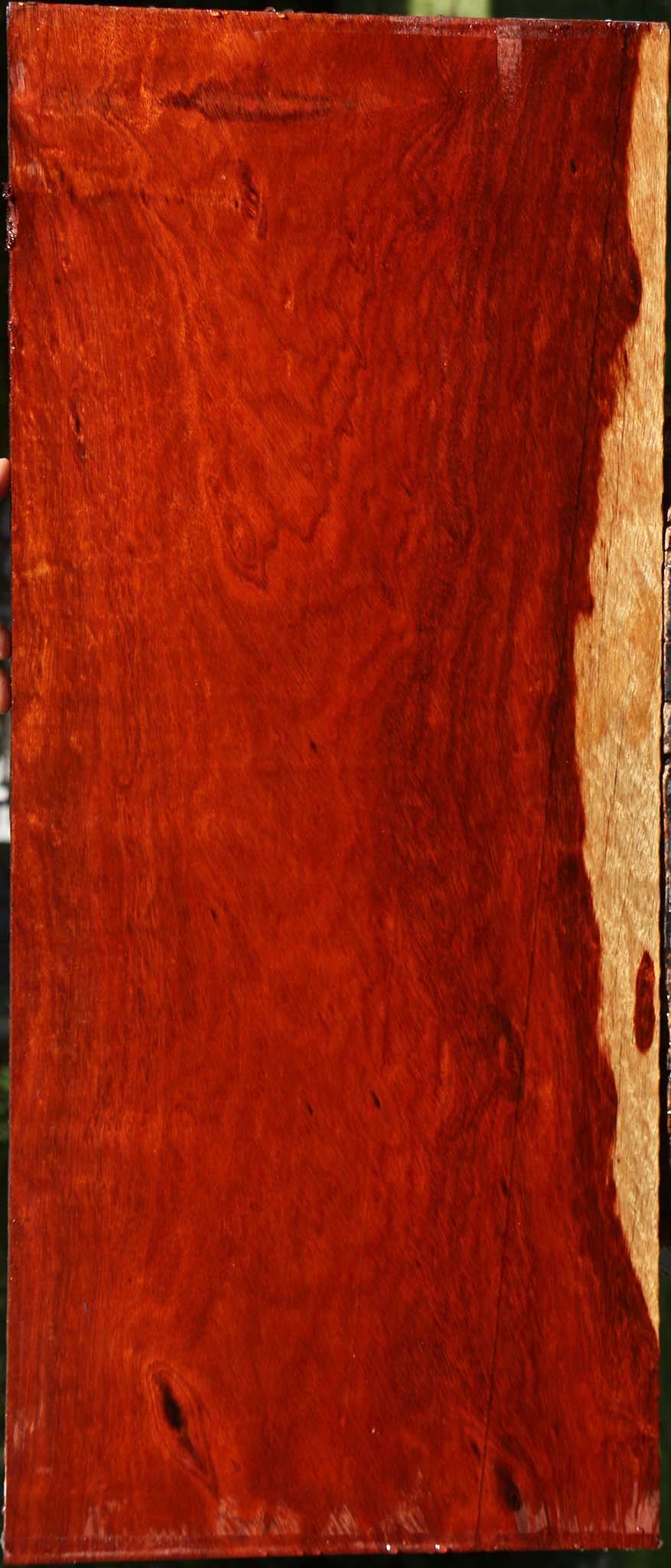 Extra Fancy Bloodwood Lumber