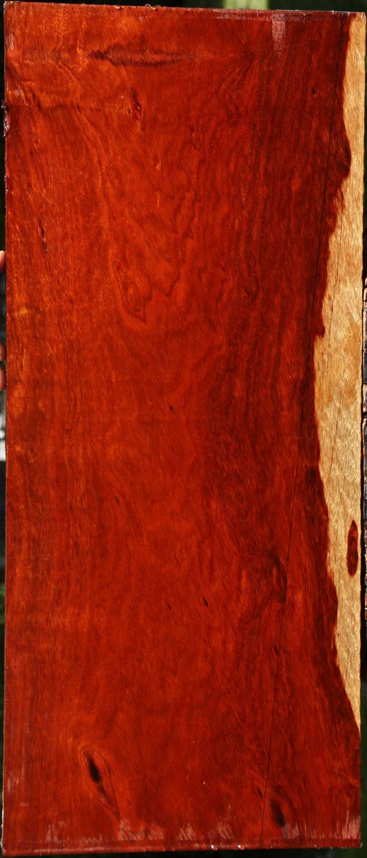 Extra Fancy Bloodwood Lumber