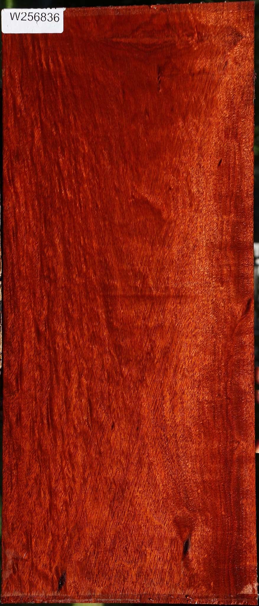 Extra Fancy Bloodwood Lumber