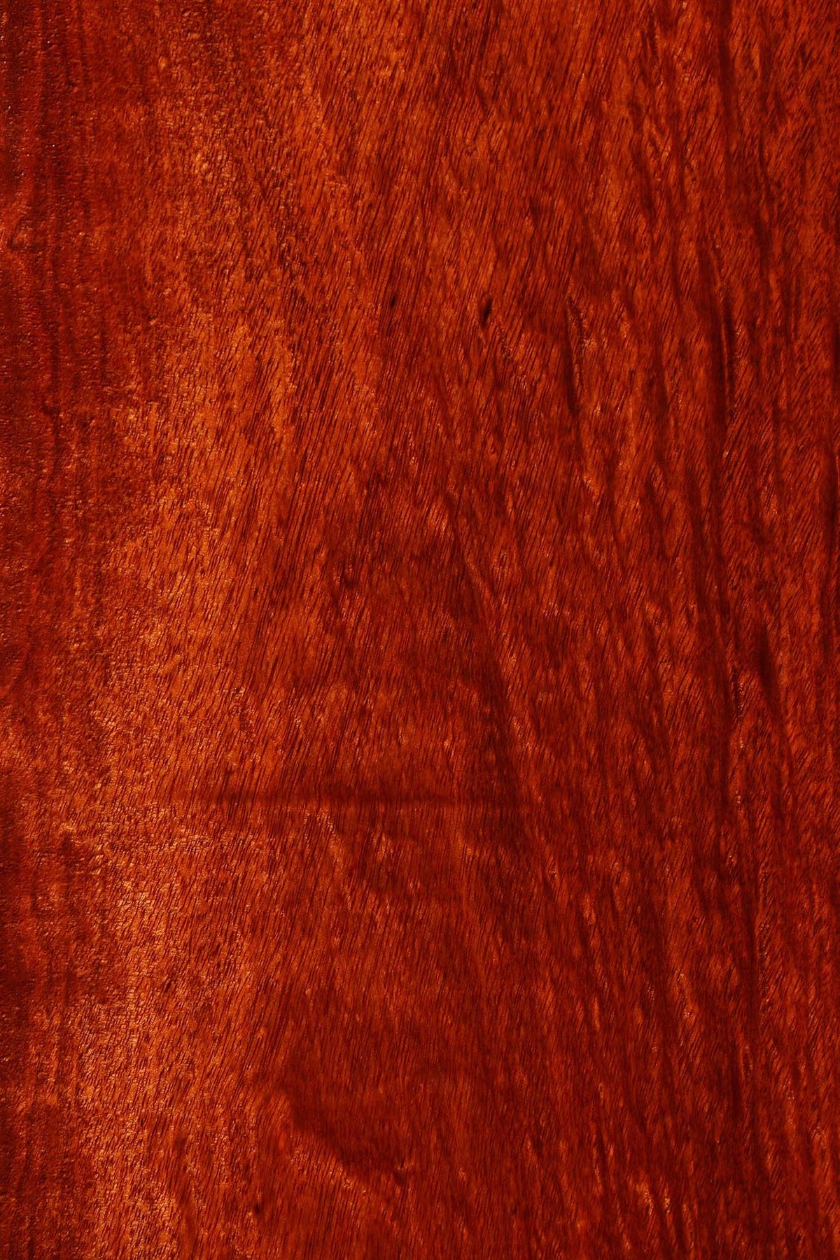 Extra Fancy Bloodwood Lumber