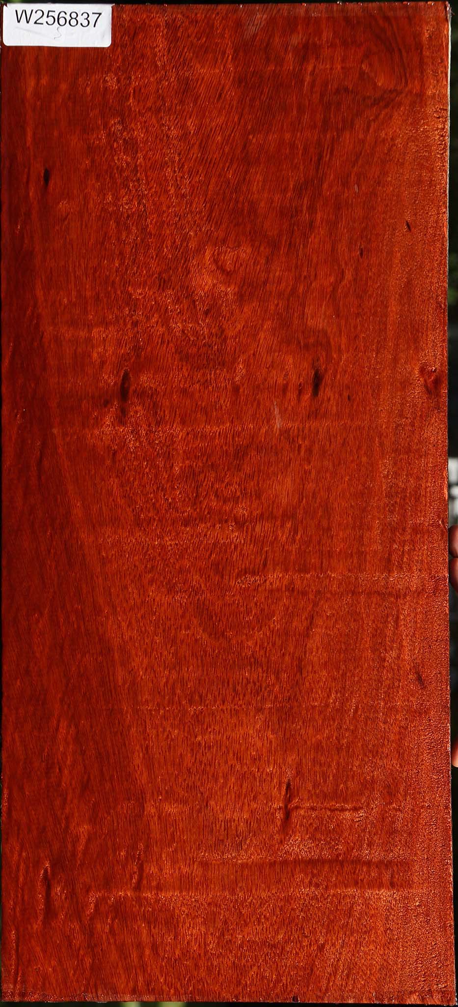 Figured Bloodwood Lumber