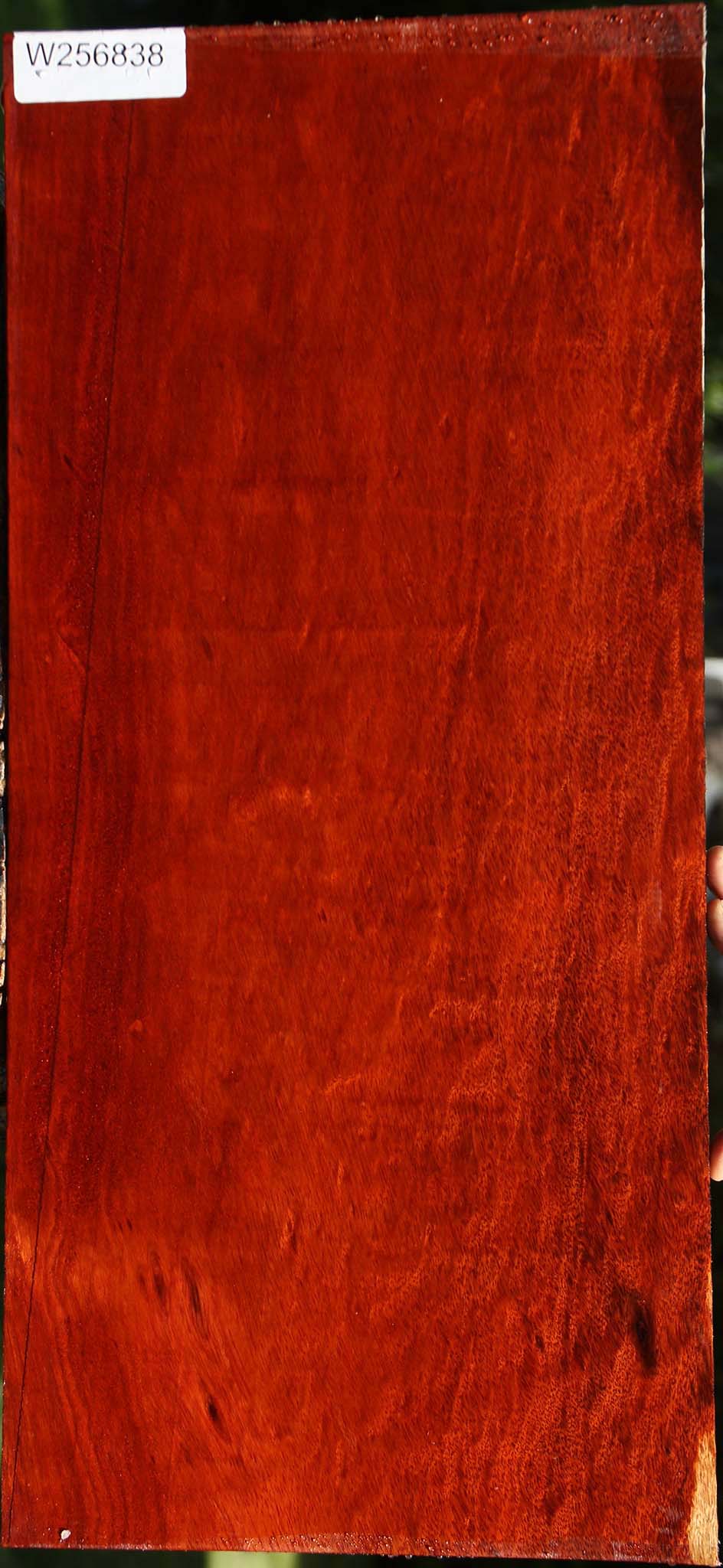 Figured Bloodwood Lumber