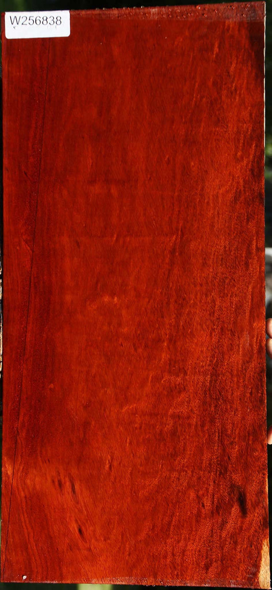 Figured Bloodwood Lumber