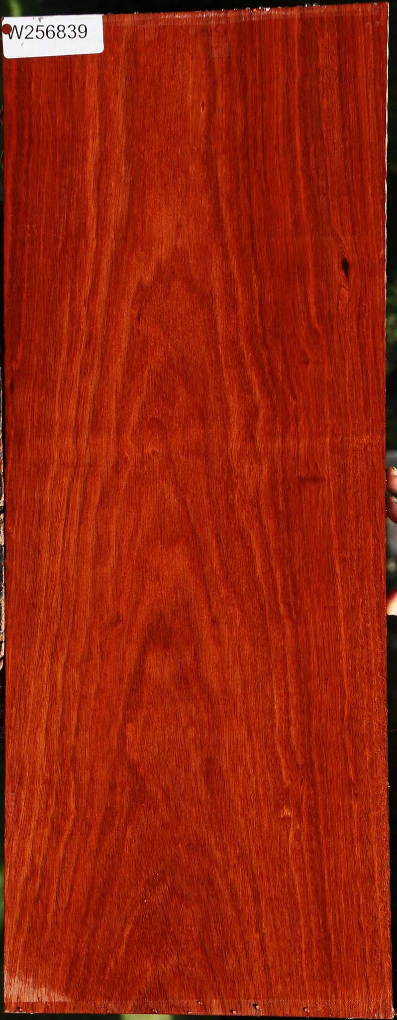 Bloodwood Lumber