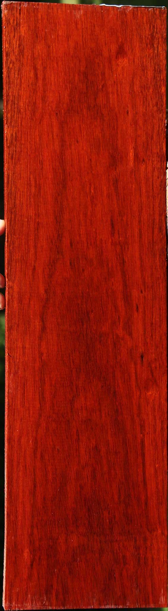 Bloodwood Lumber