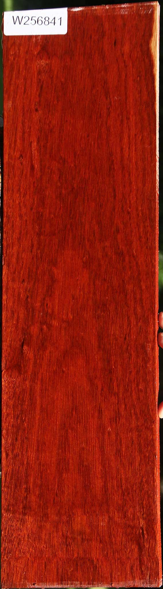 Bloodwood Lumber