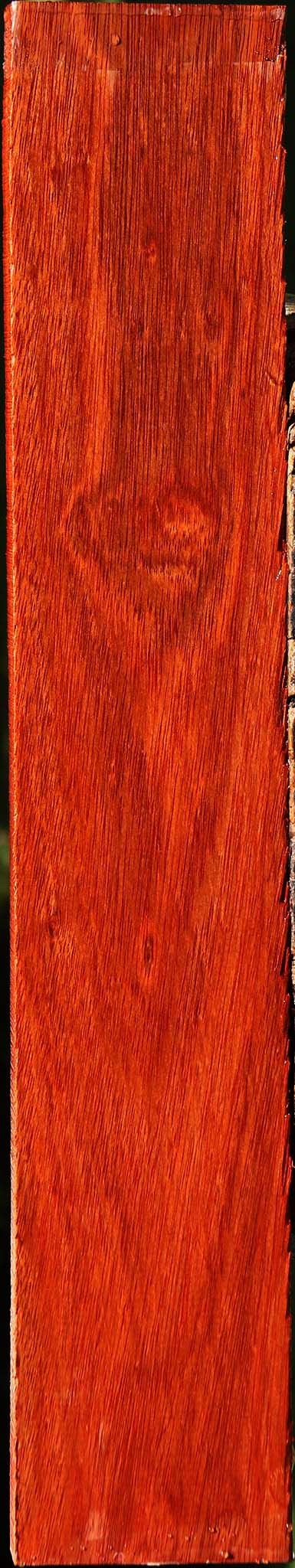 Bloodwood Lumber