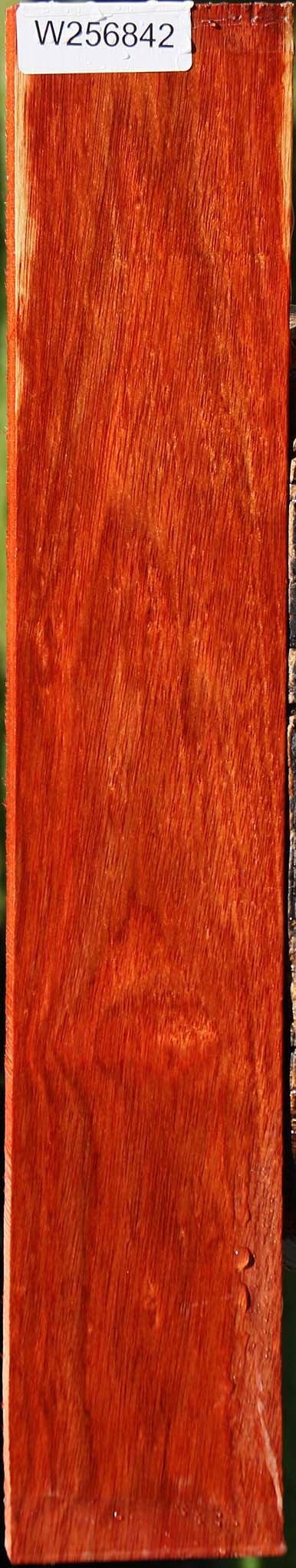 Bloodwood Lumber