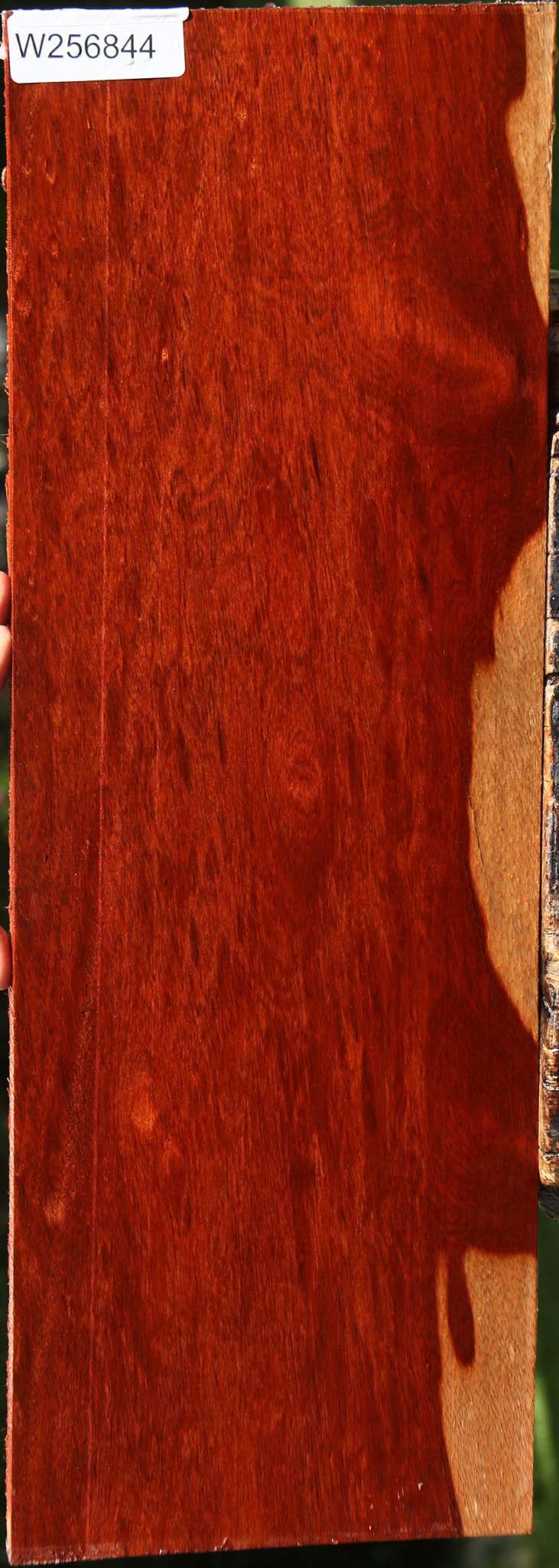 Figured Bloodwood Lumber