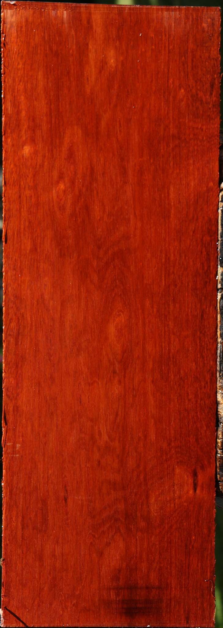 Figured Bloodwood Lumber