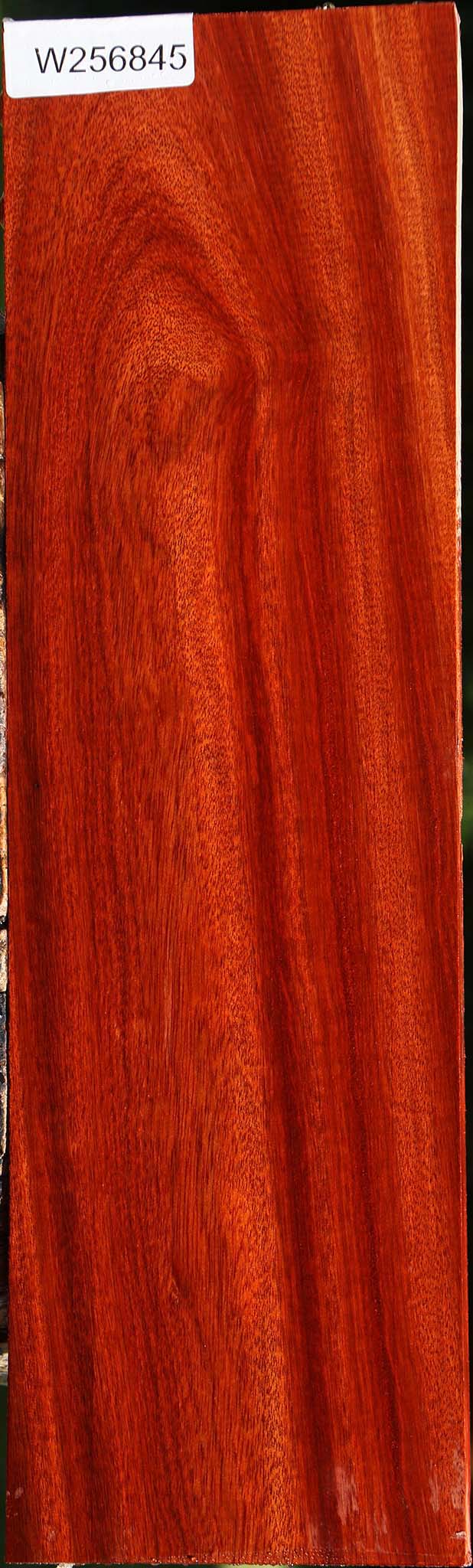 Bloodwood Micro Lumber