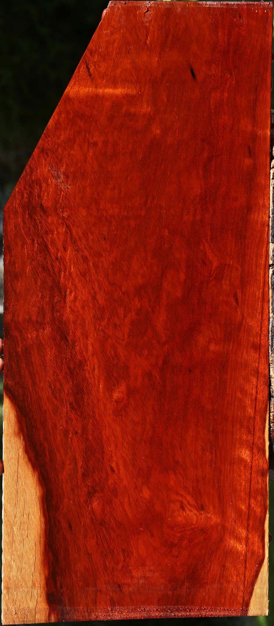 Extra Fancy Bloodwood Lumber