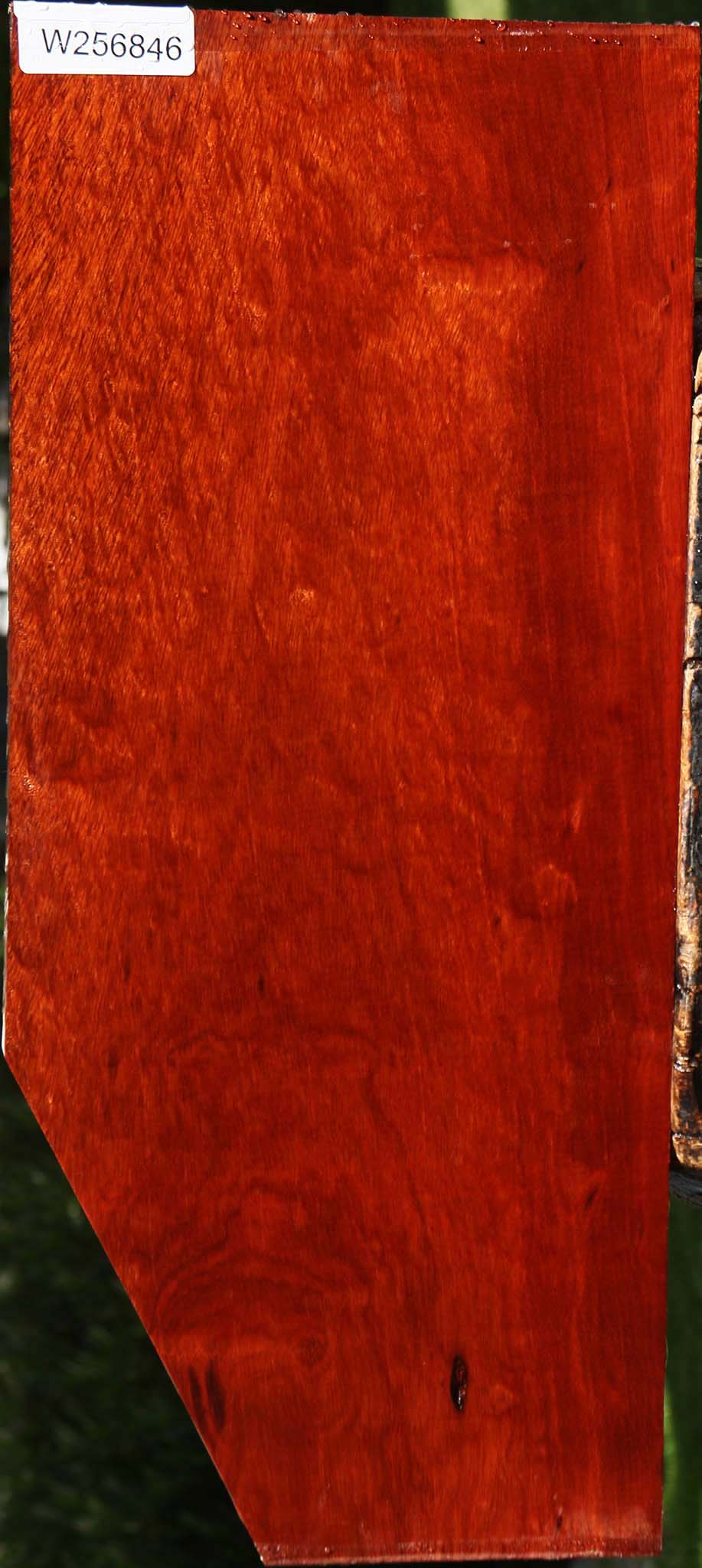 Extra Fancy Bloodwood Lumber