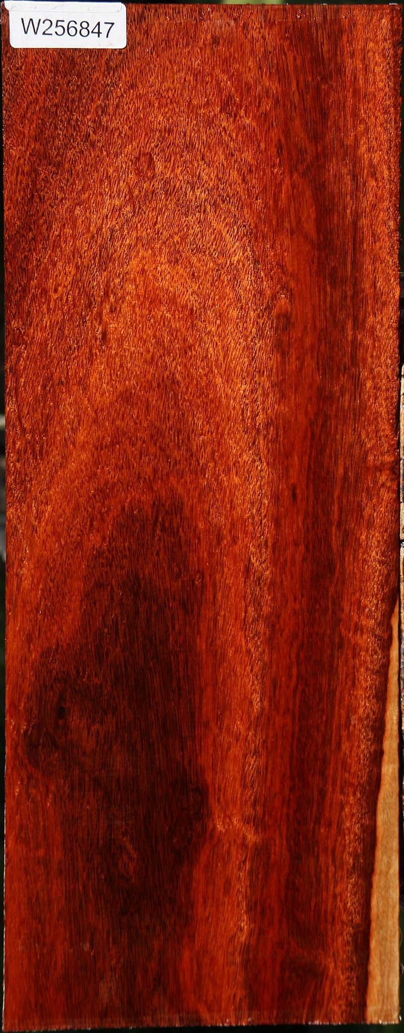 Figured Bloodwood Lumber