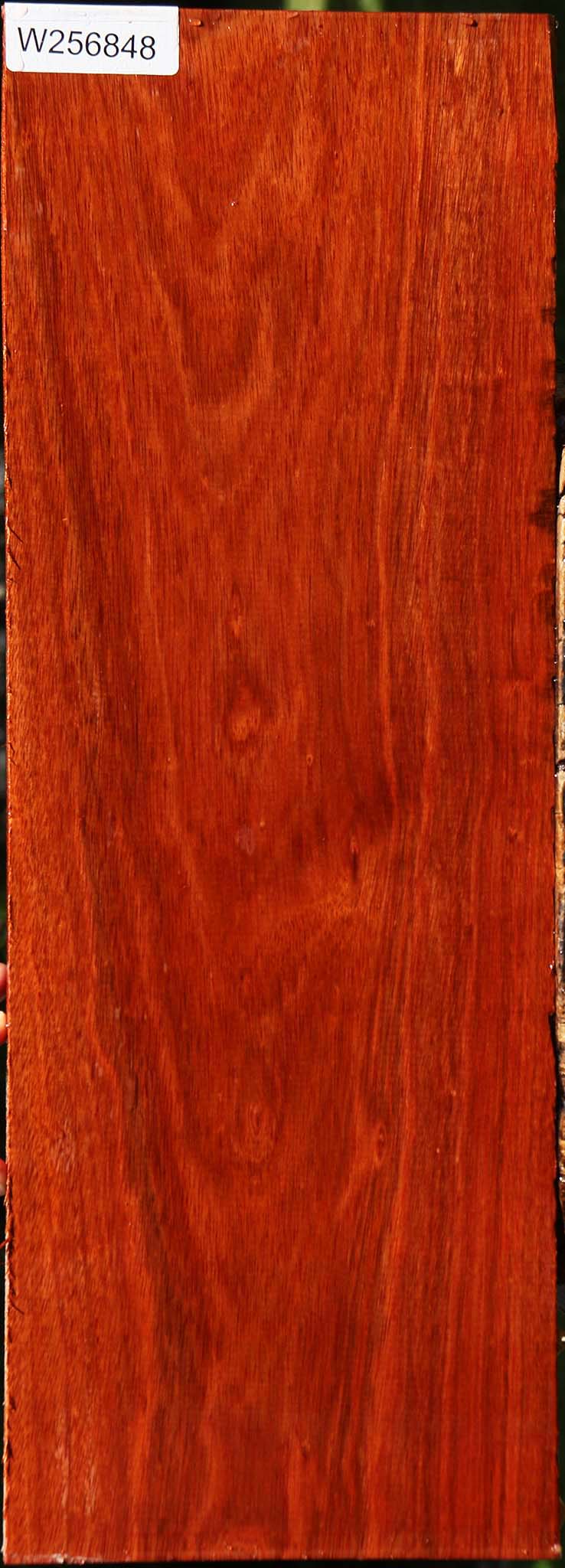 Bloodwood Lumber