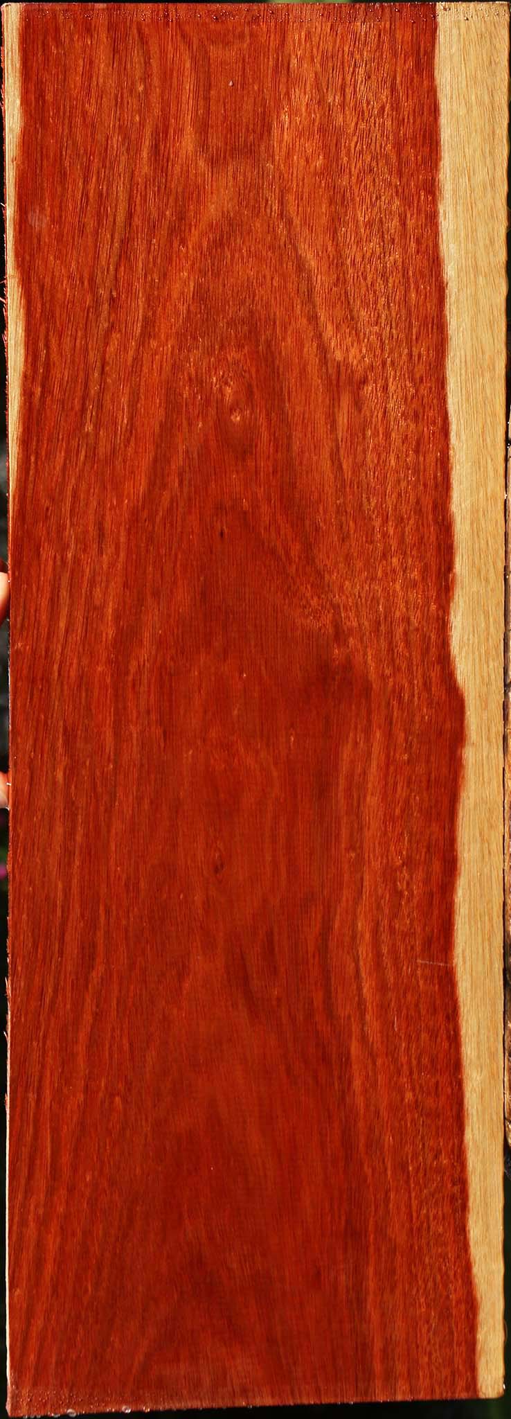 Bloodwood Lumber