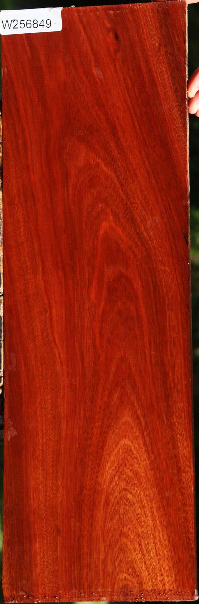 Bloodwood Lumber
