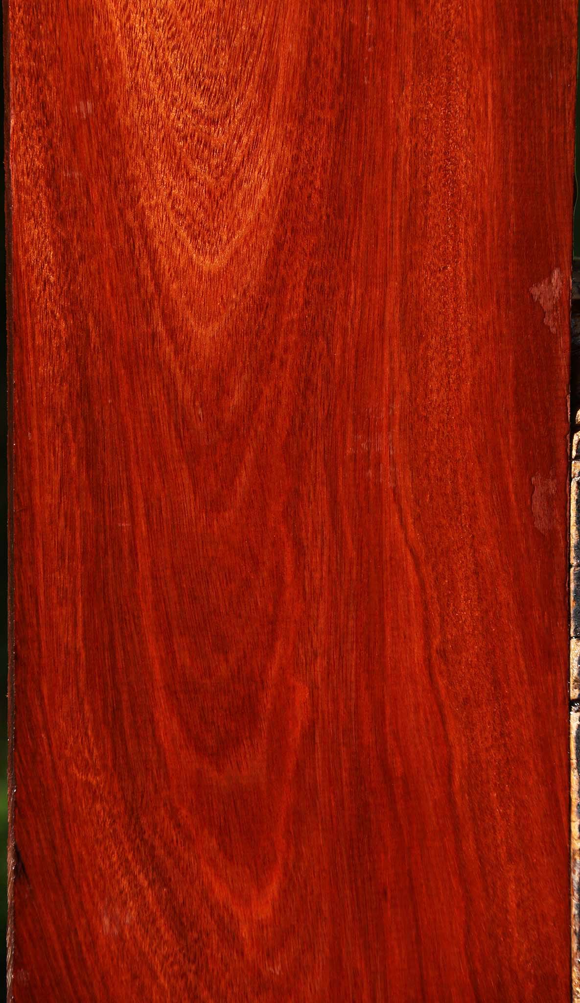 Bloodwood Lumber