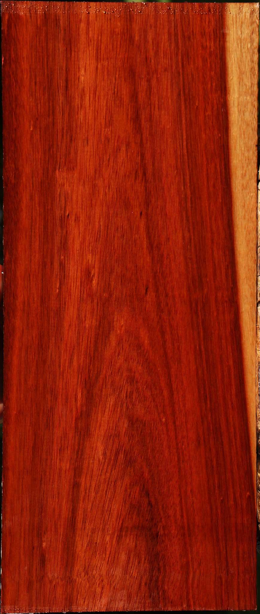 Bloodwood Lumber