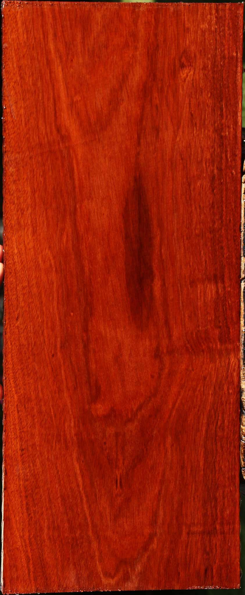 Bloodwood Lumber