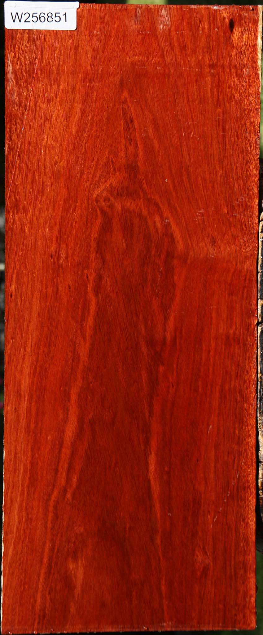 Bloodwood Lumber