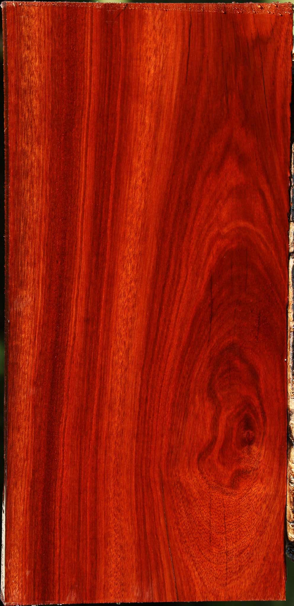 Figured Bloodwood Lumber
