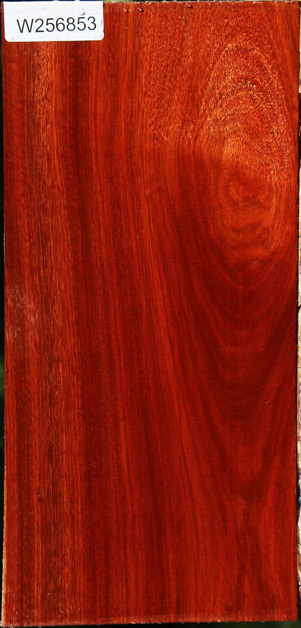 Figured Bloodwood Lumber
