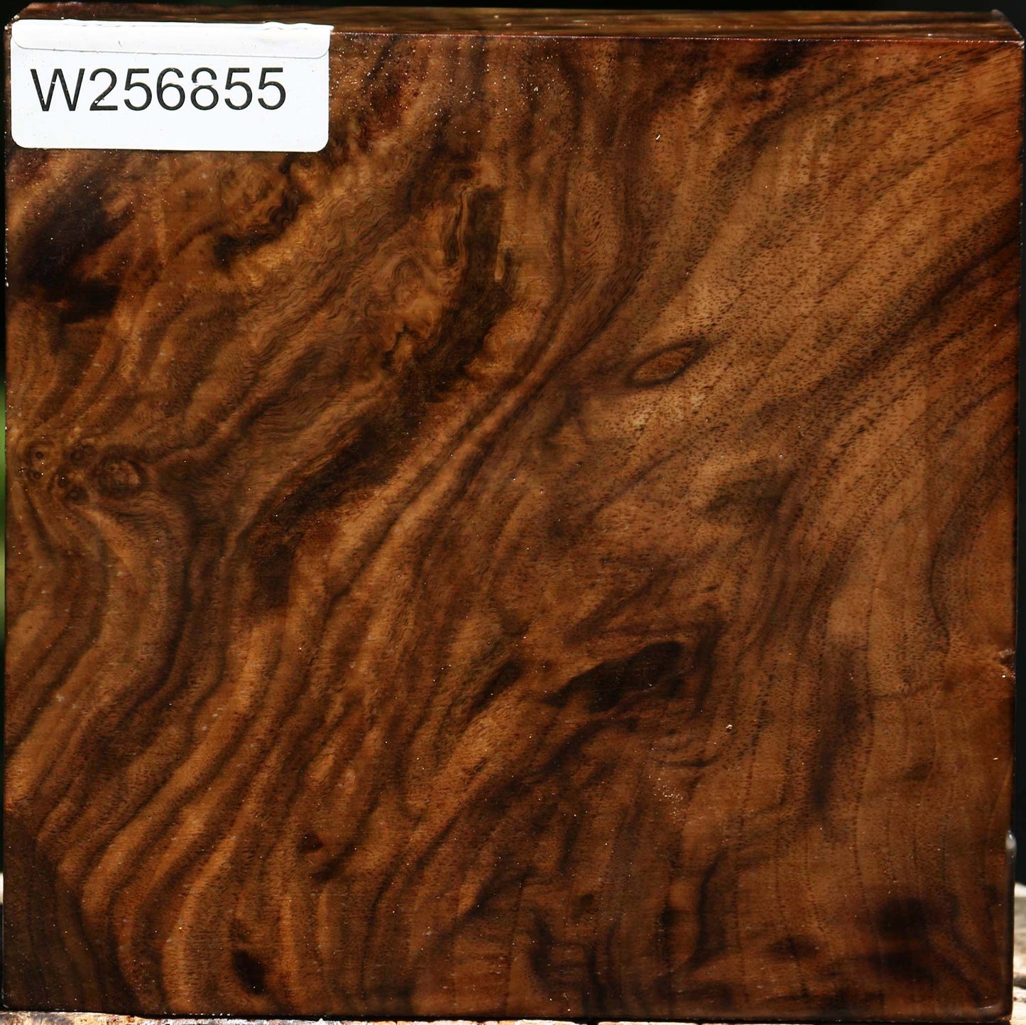 Claro Walnut Bowl Blank