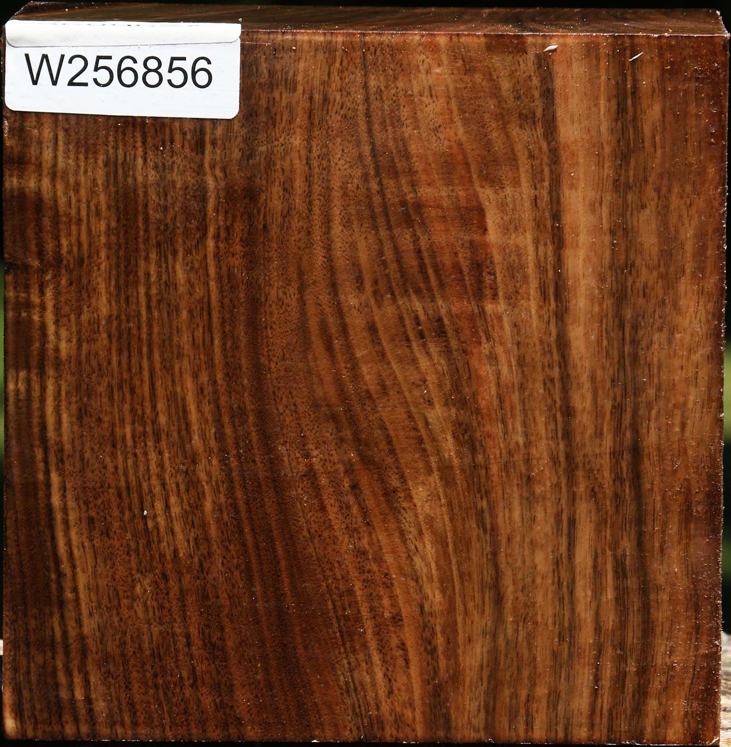 Claro Walnut Bowl Blank