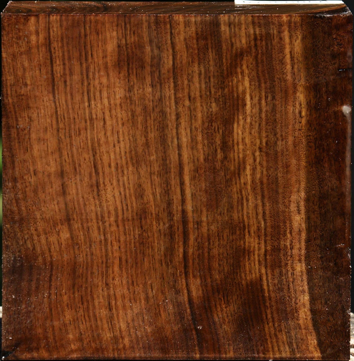 Claro Walnut Bowl Blank