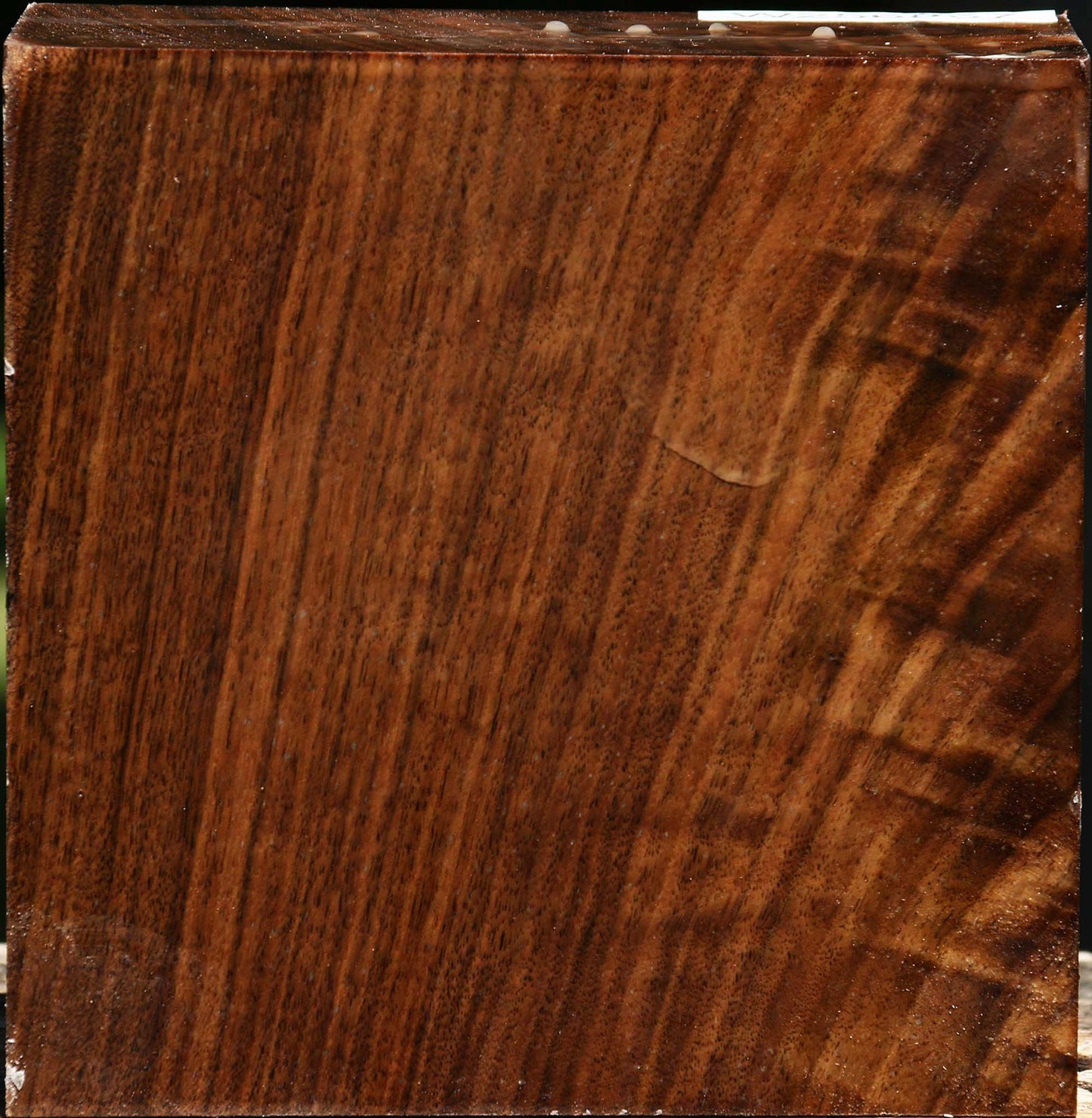 Claro Walnut Bowl Blank