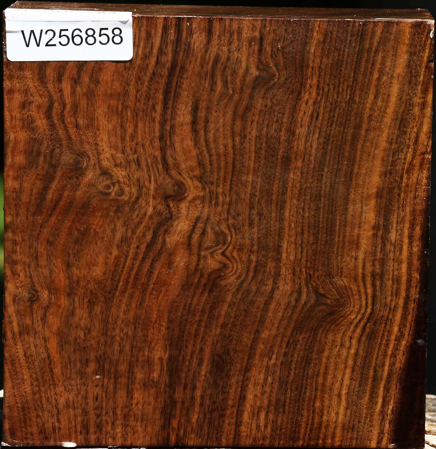Claro Walnut Bowl Blank