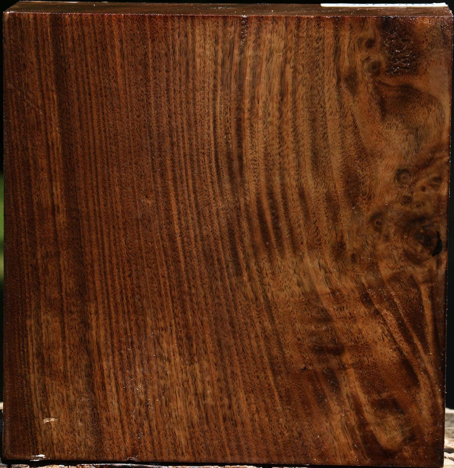Claro Walnut Bowl Blank