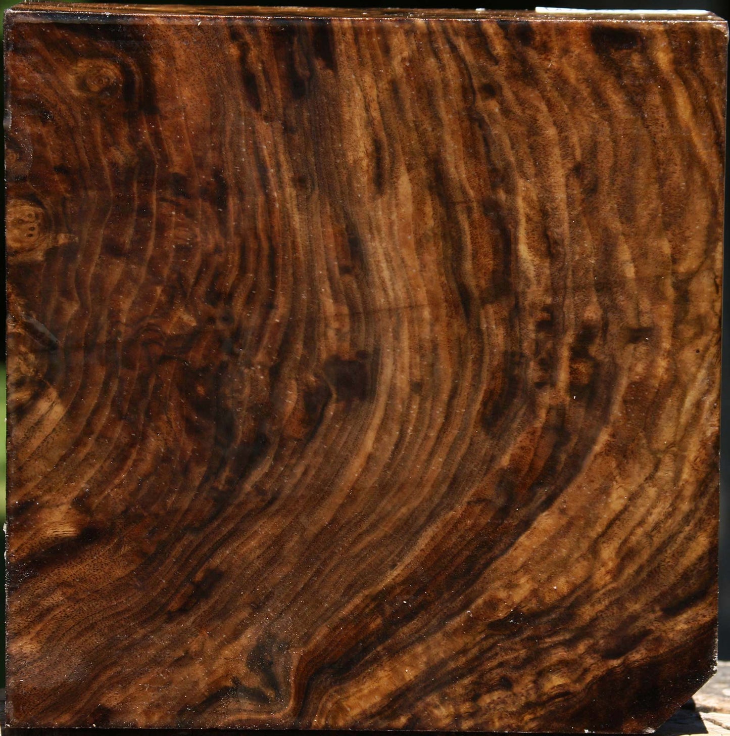 Extra Fancy Claro Walnut Bowl Blank