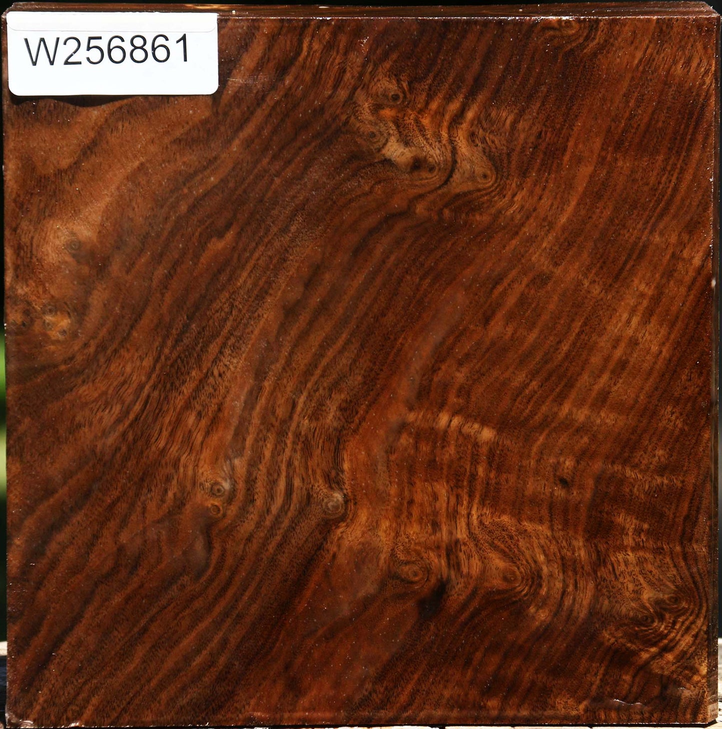 Figured Claro Walnut Bowl Blank