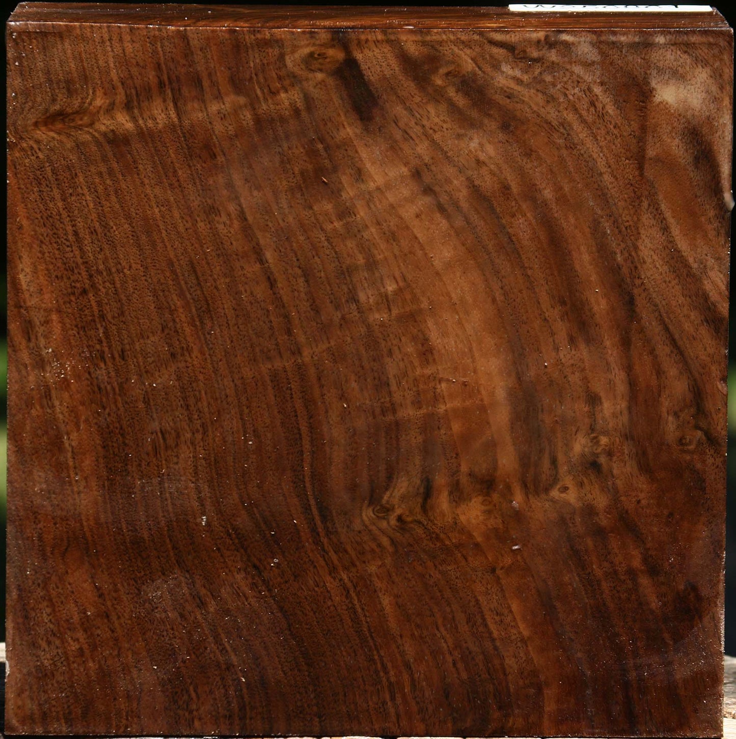 Figured Claro Walnut Bowl Blank