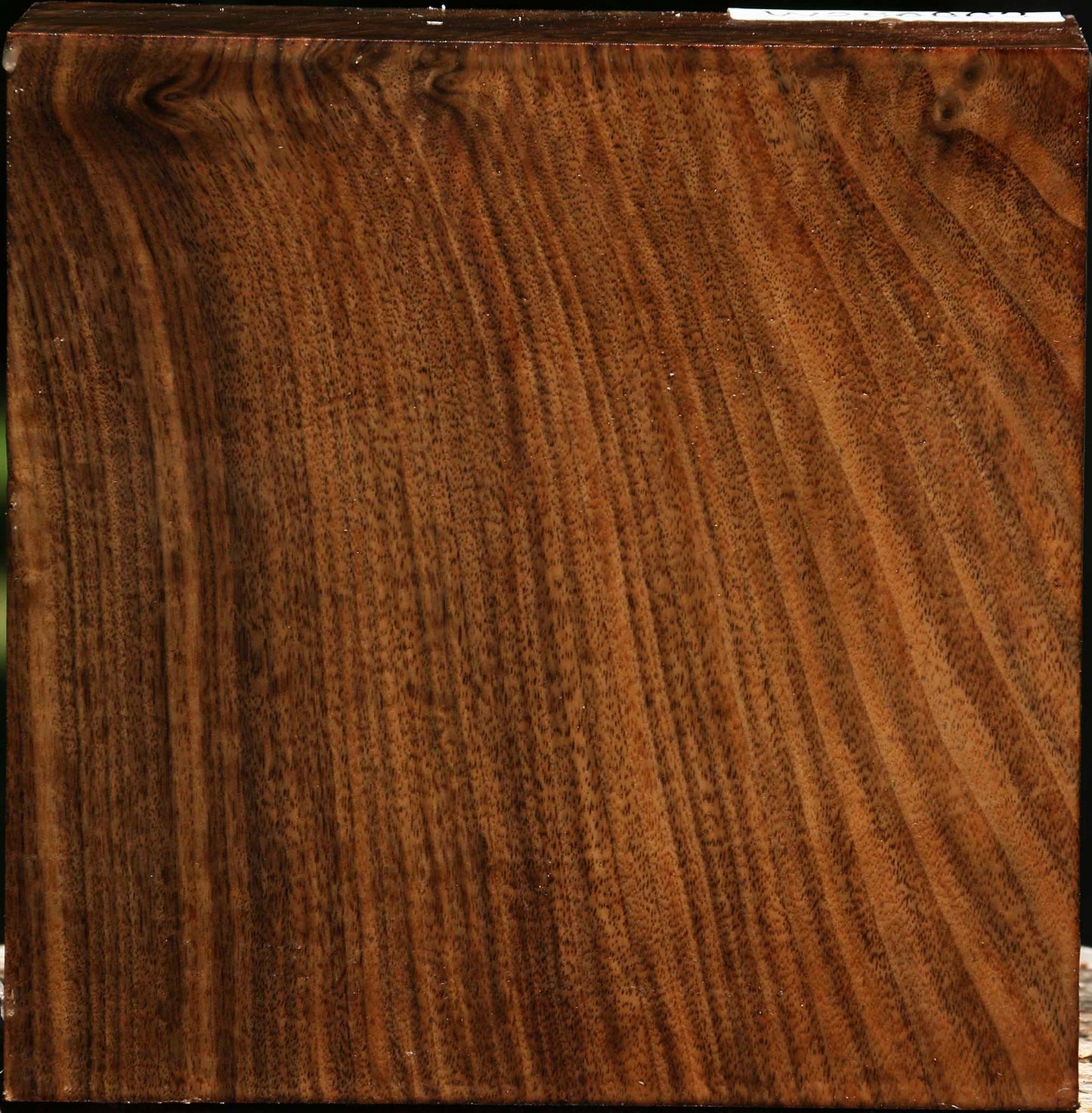 Claro Walnut Bowl Blank