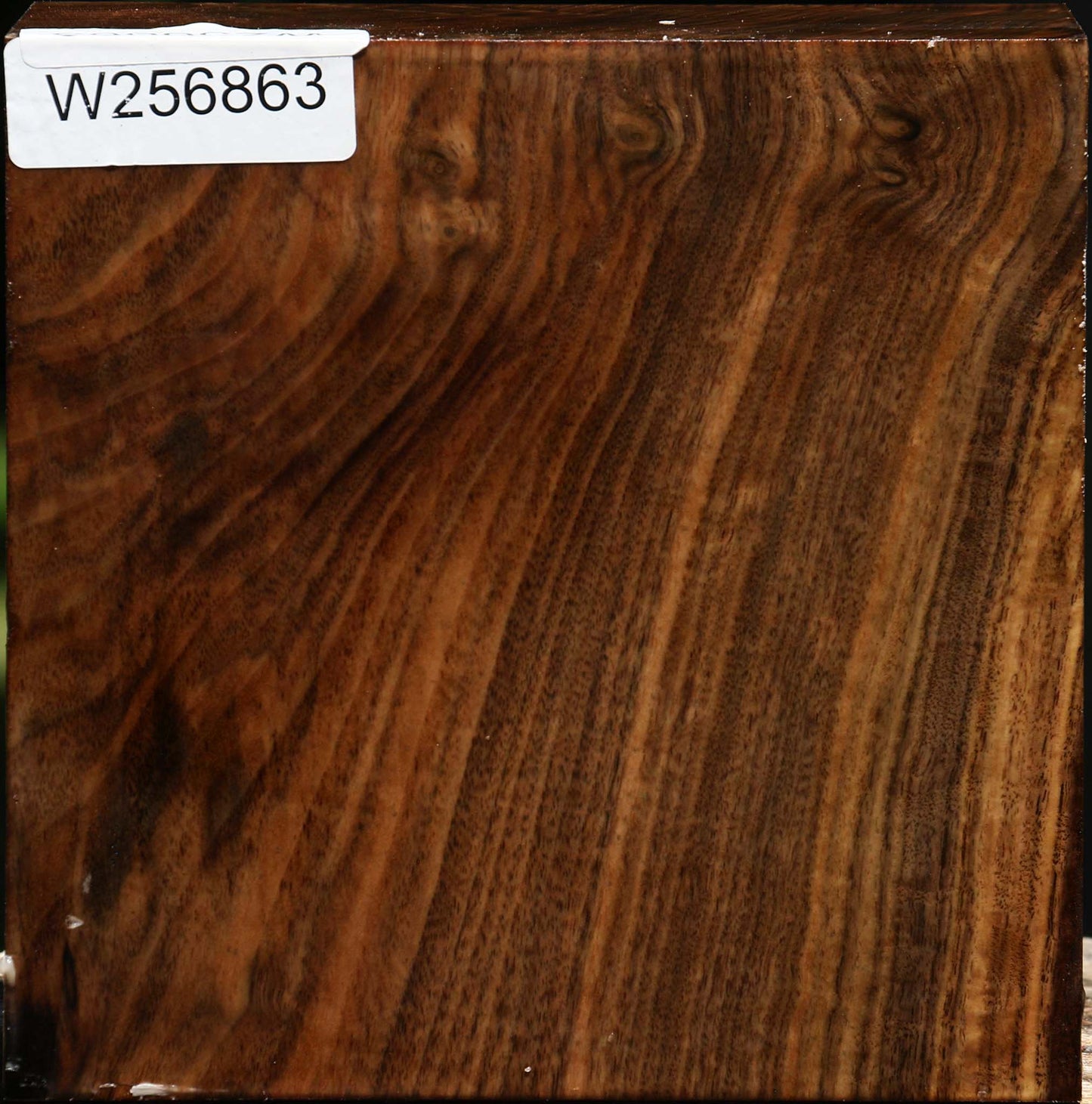 Claro Walnut Bowl Blank