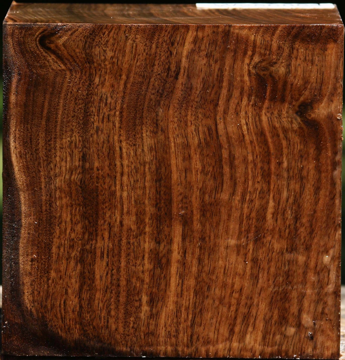 Claro Walnut Bowl Blank