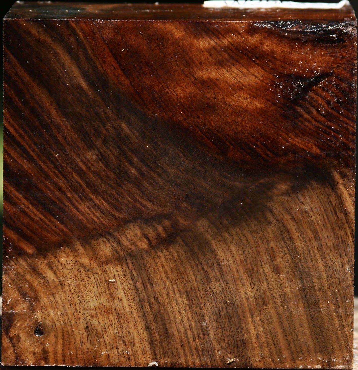 Claro Walnut Bowl Blank
