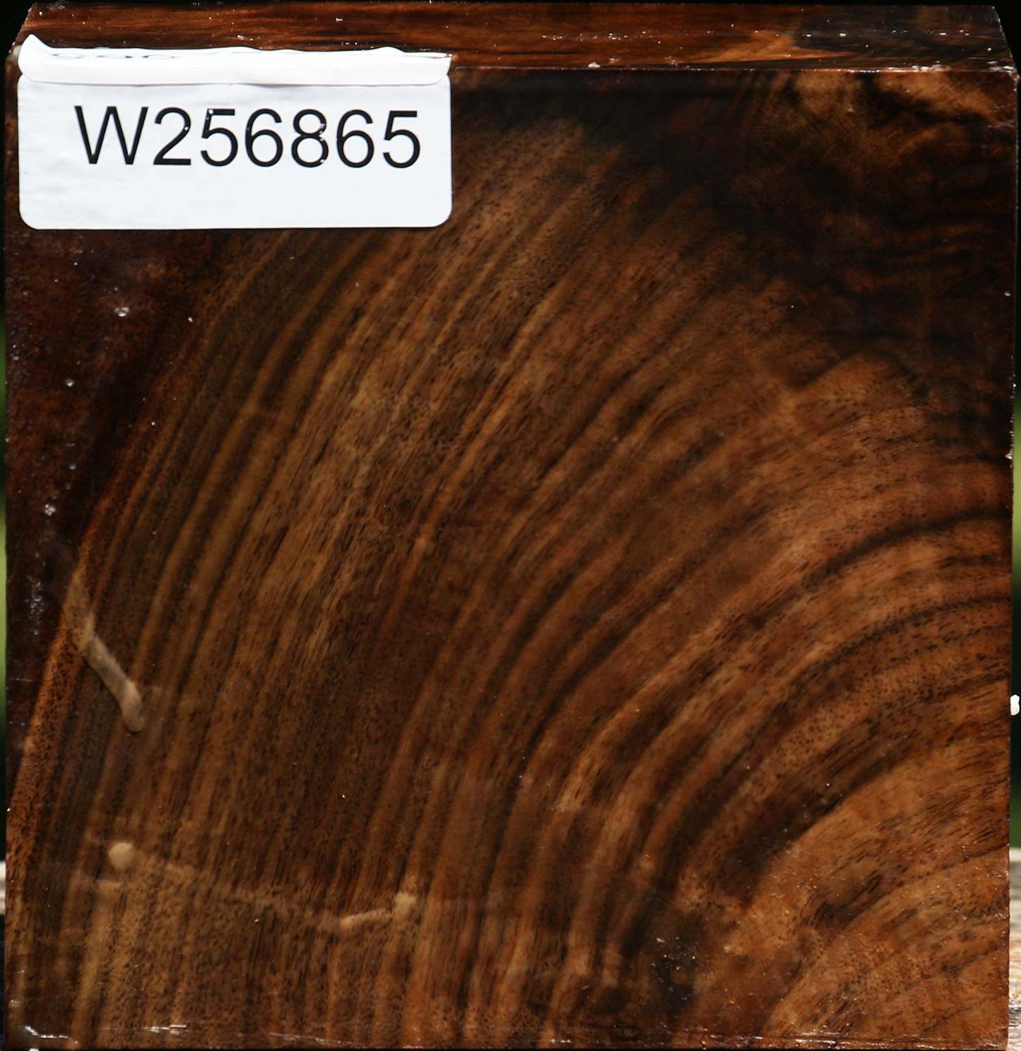 Claro Walnut Bowl Blank