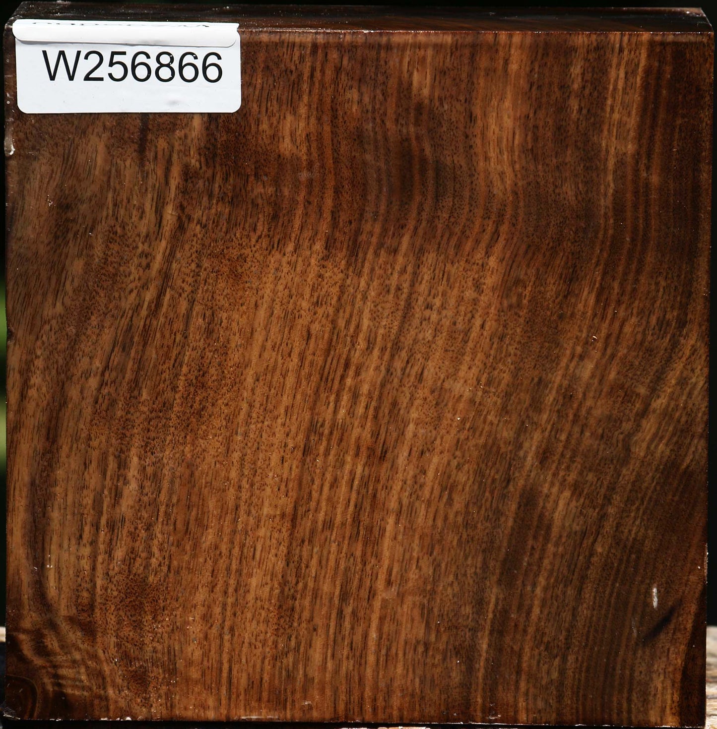 Claro Walnut Bowl Blank