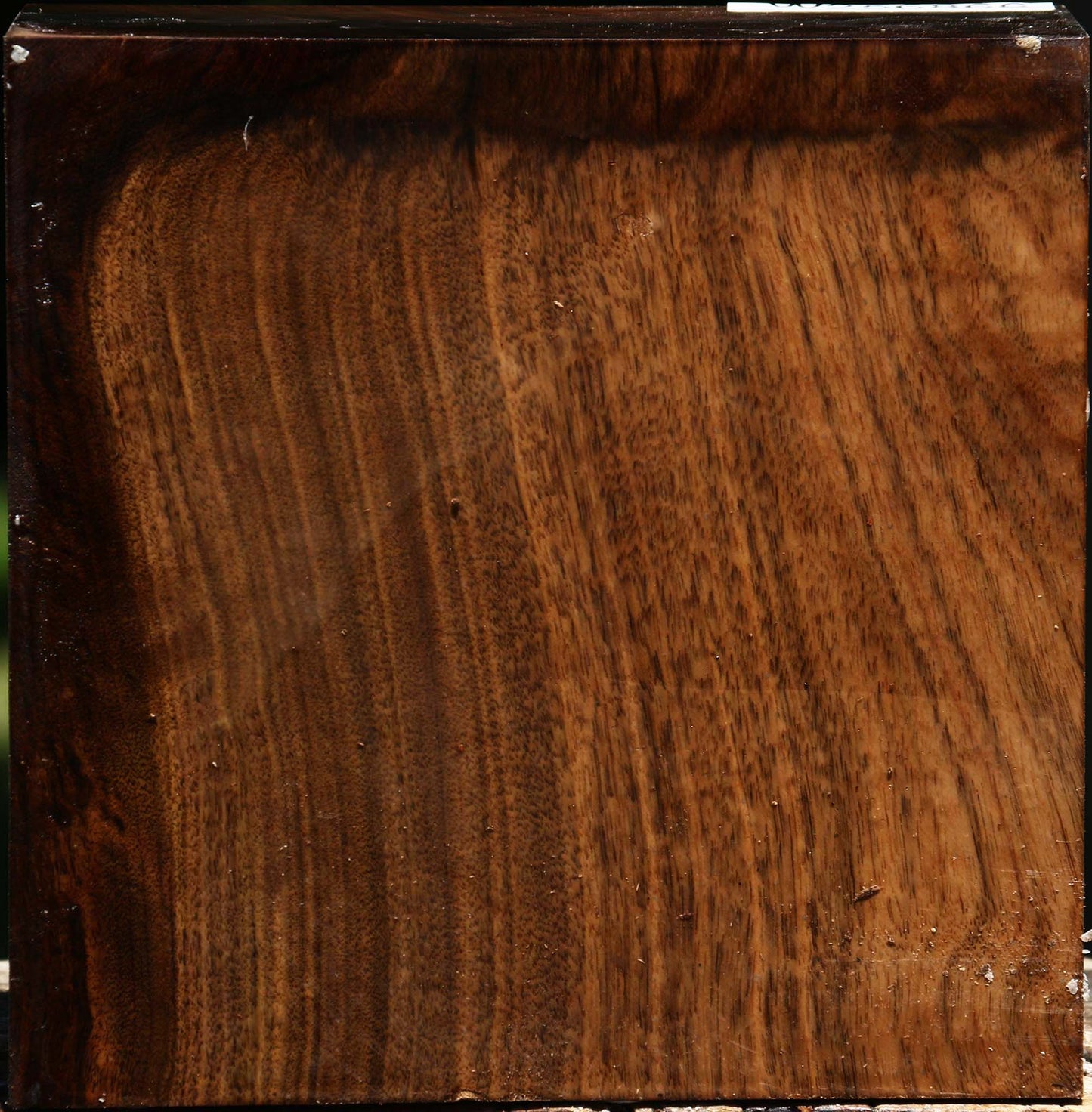 Claro Walnut Bowl Blank