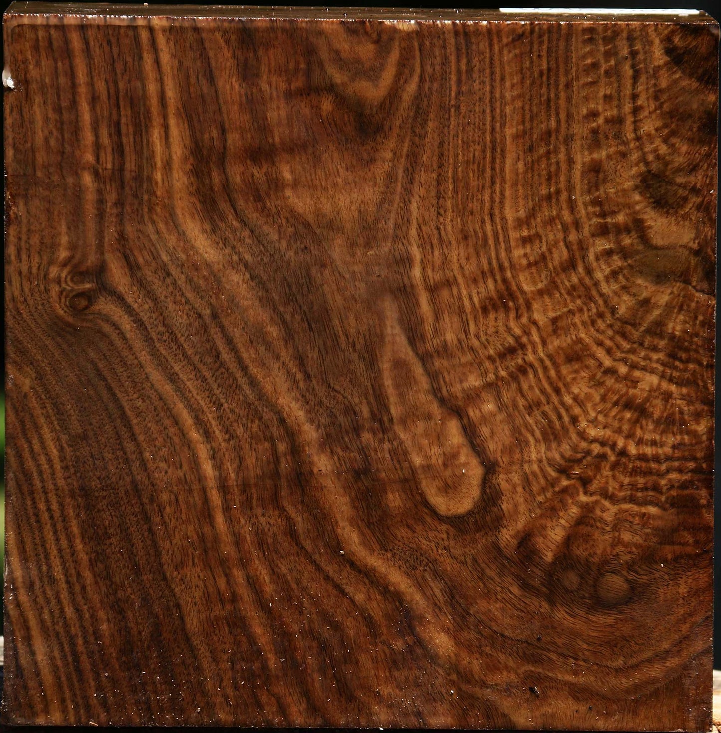 Figured Claro Walnut Bowl Blank