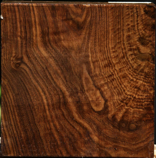 Figured Claro Walnut Bowl Blank