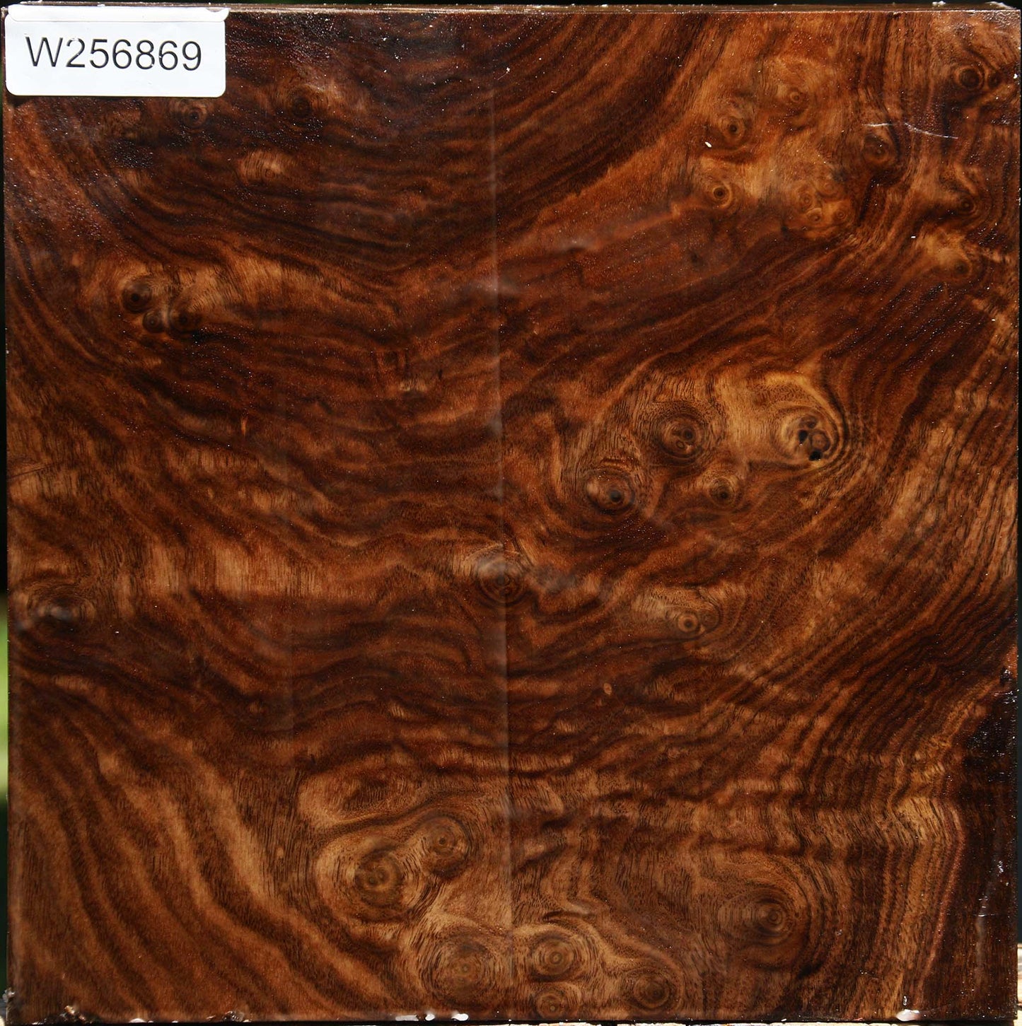 Extra Fancy Claro Walnut Bowl Blank